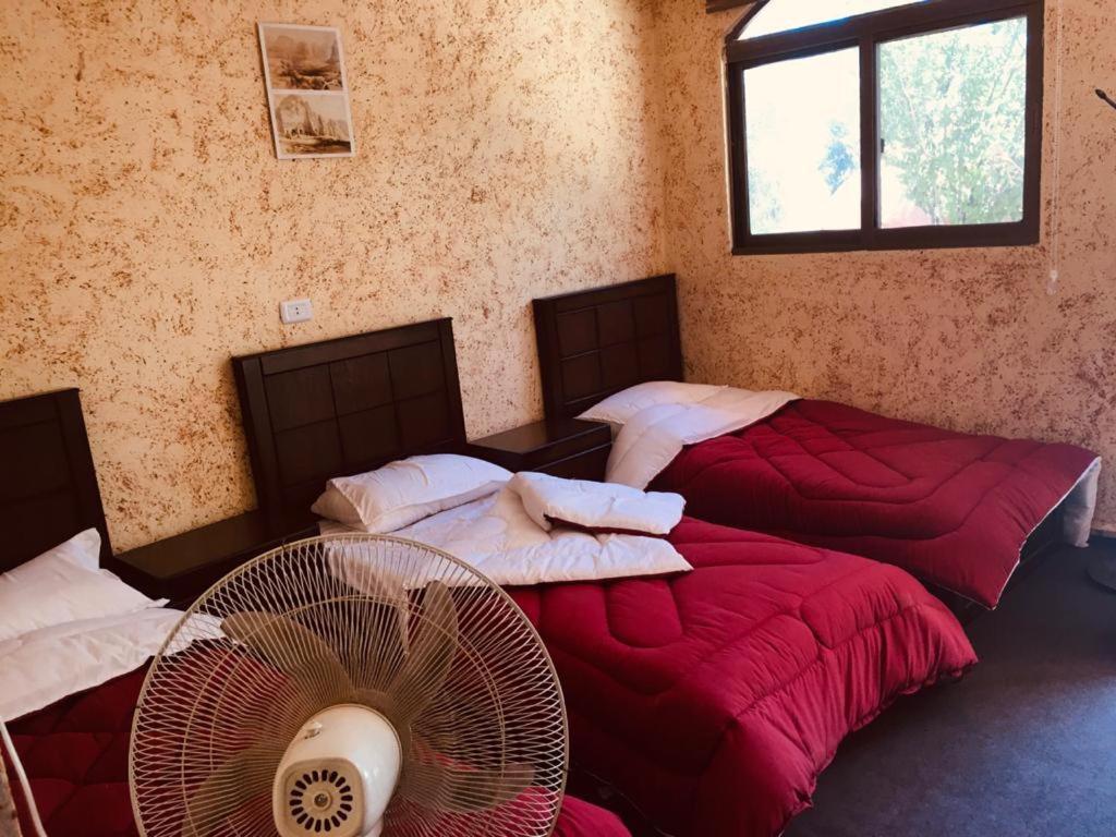 Guest House Attallah Vádi Músza Kültér fotó