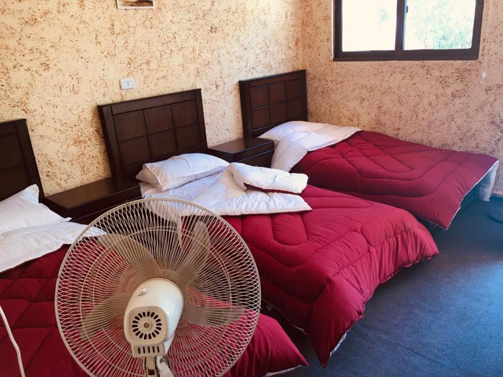 Guest House Attallah Vádi Músza Kültér fotó